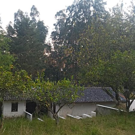 Quinta Los Eucaliptos Villa Quito Exterior foto