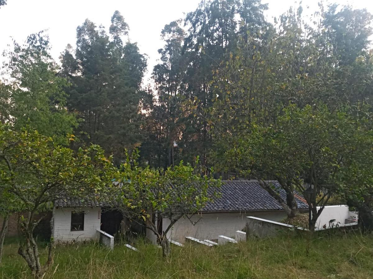 Quinta Los Eucaliptos Villa Quito Exterior foto